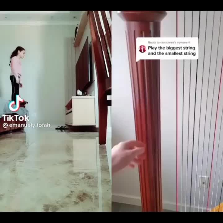 @Аниматор •^•