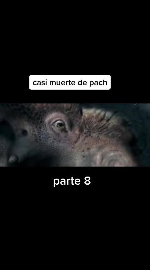 @Alex 🦴