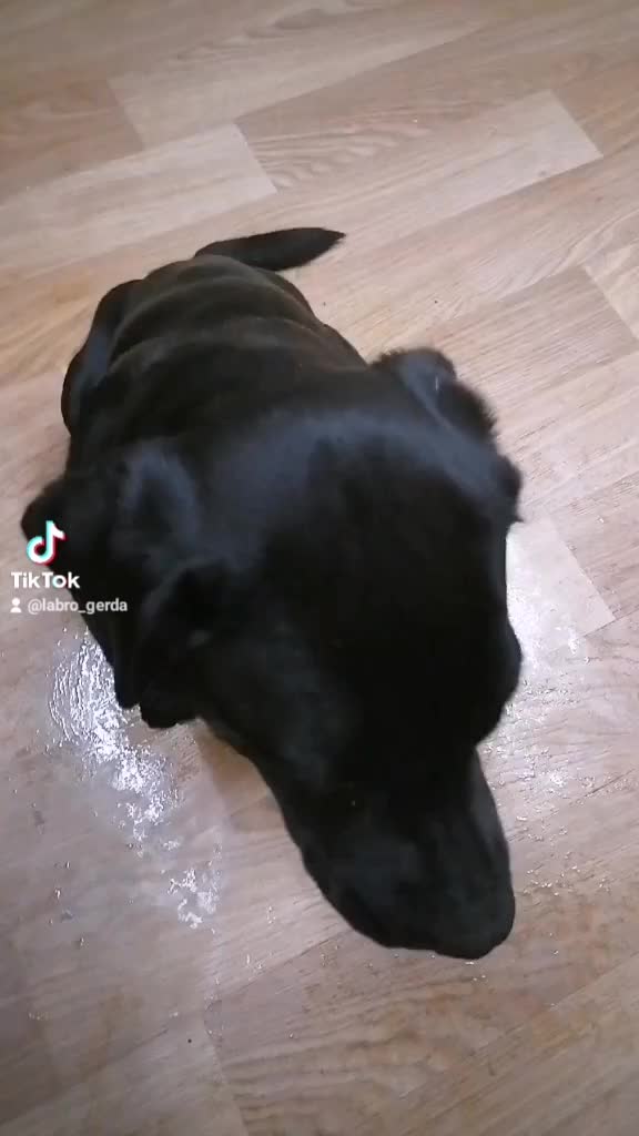 @Герда