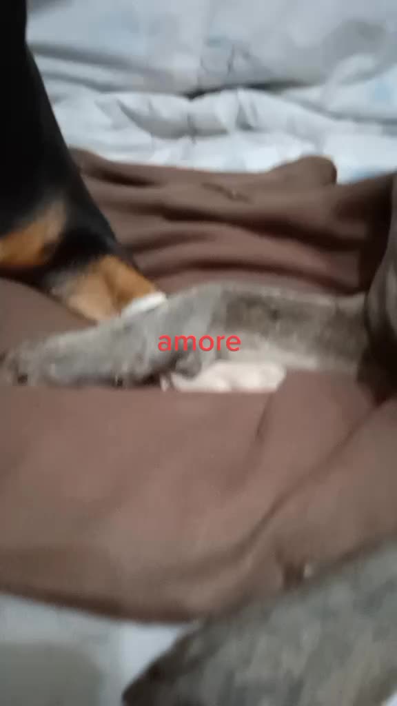 @silvanacloe