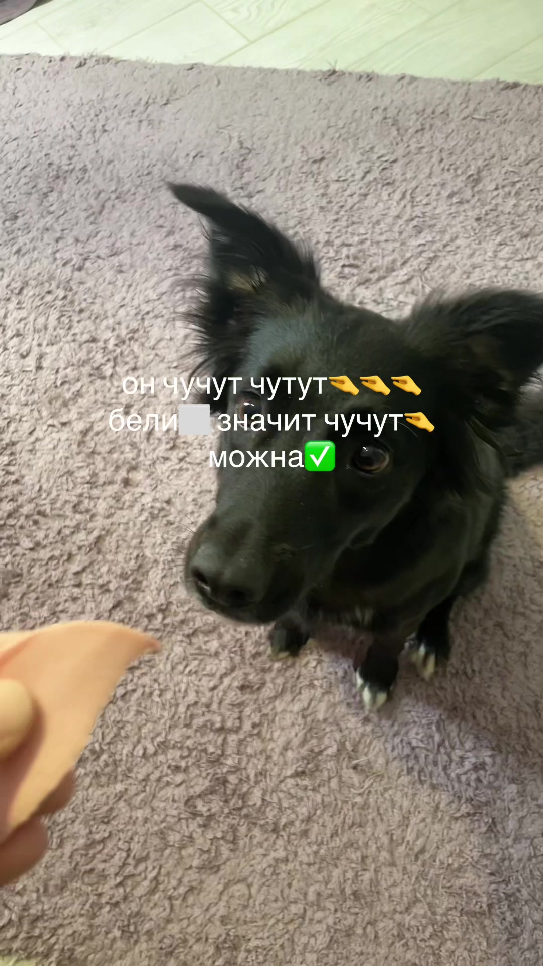 @mil0rassa