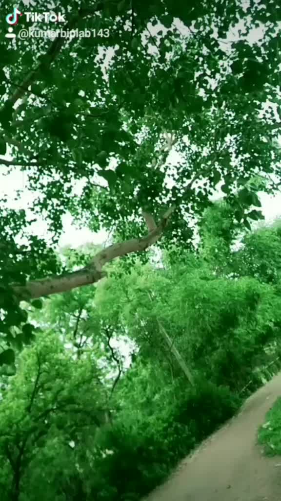 @Bablu.......🤚