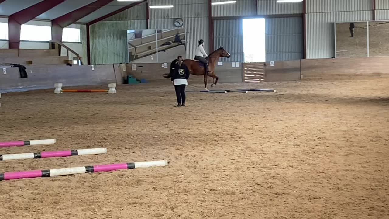@🐎Ridning🐎 {3,8K}