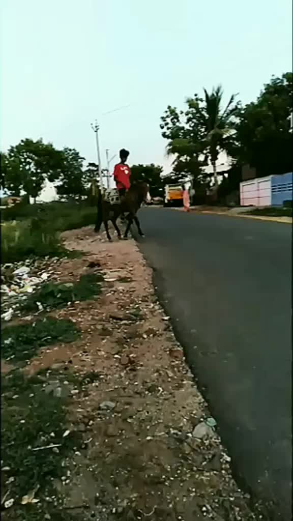 @(☞ ͡° ͜ʖ ͡°)☞