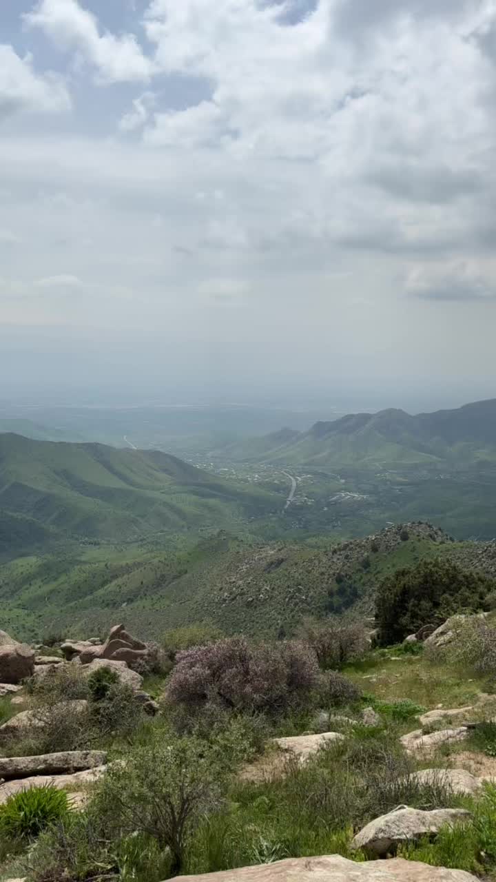 @Afzalshoh
