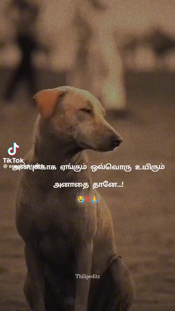 @R.Manikandan
