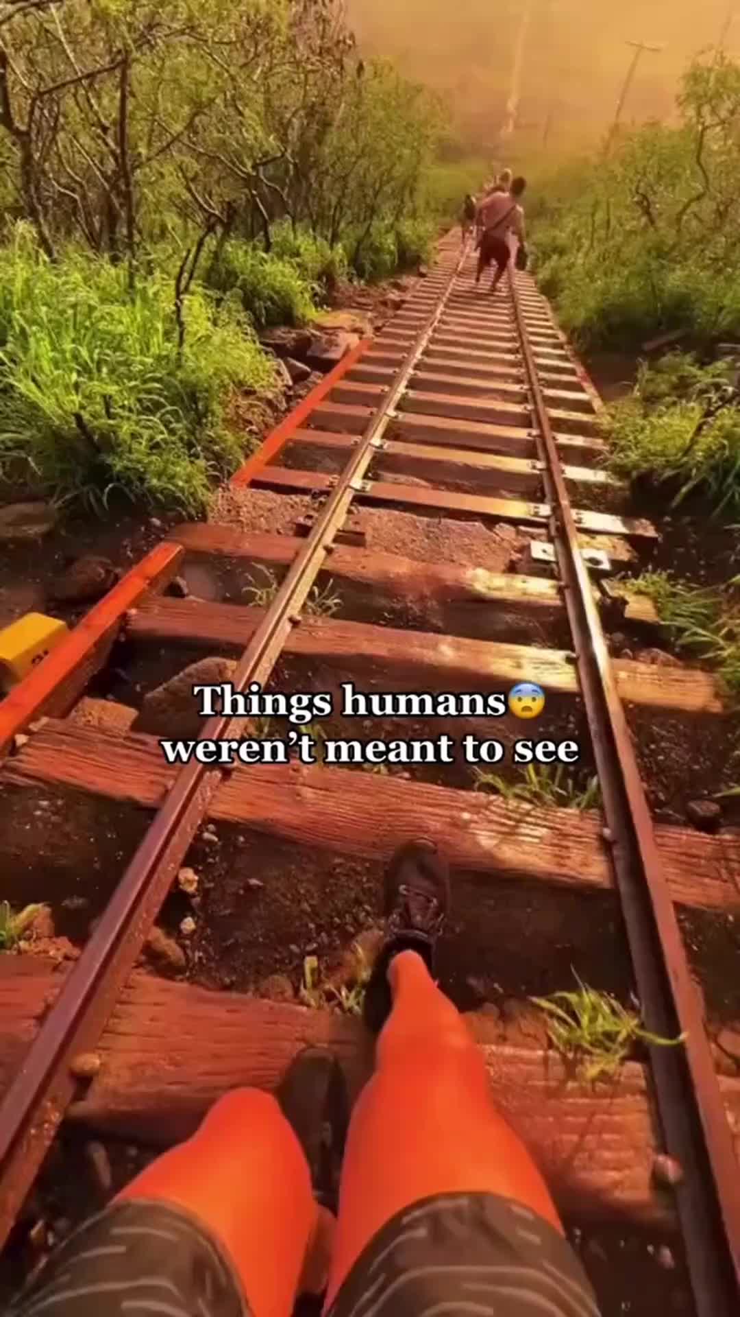@LovingNature