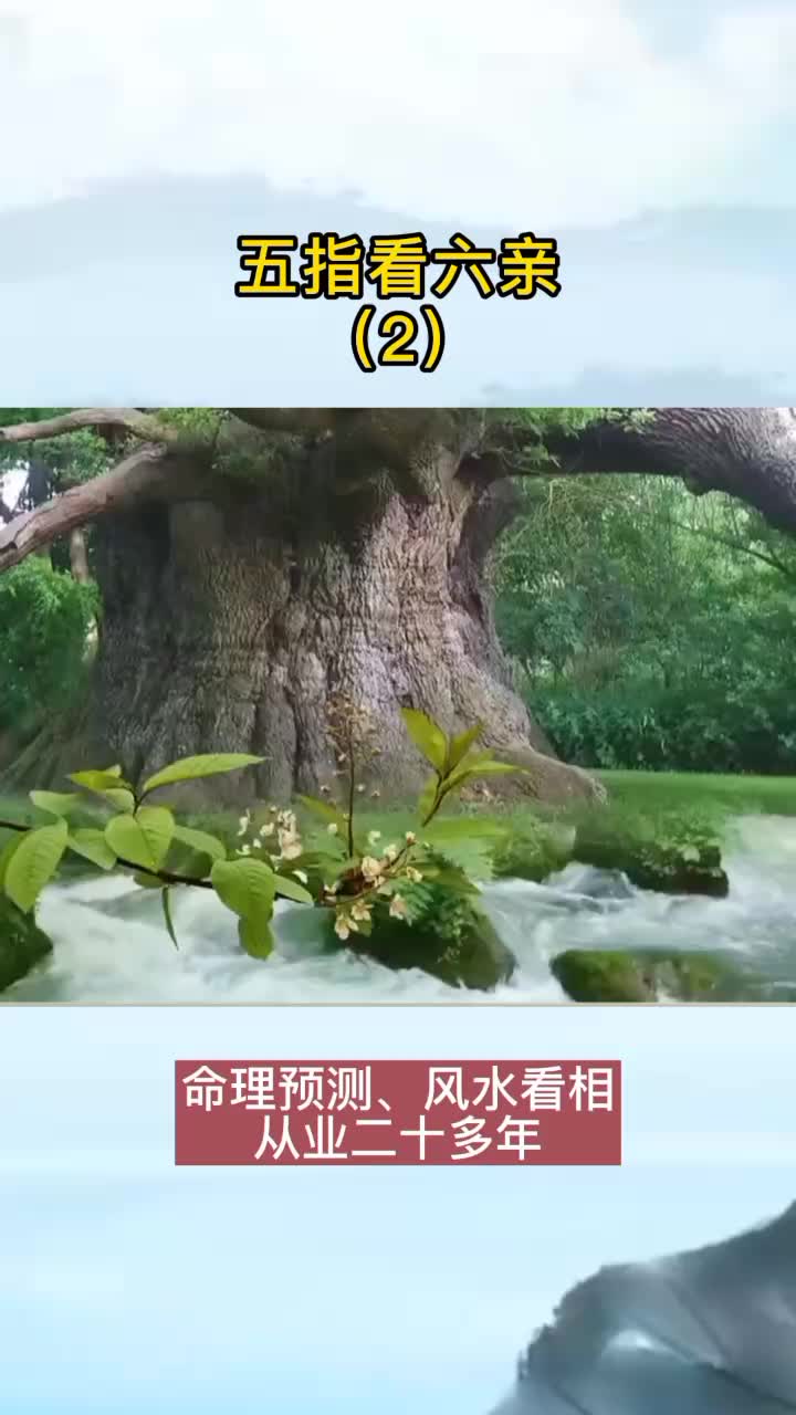 @衍易命理