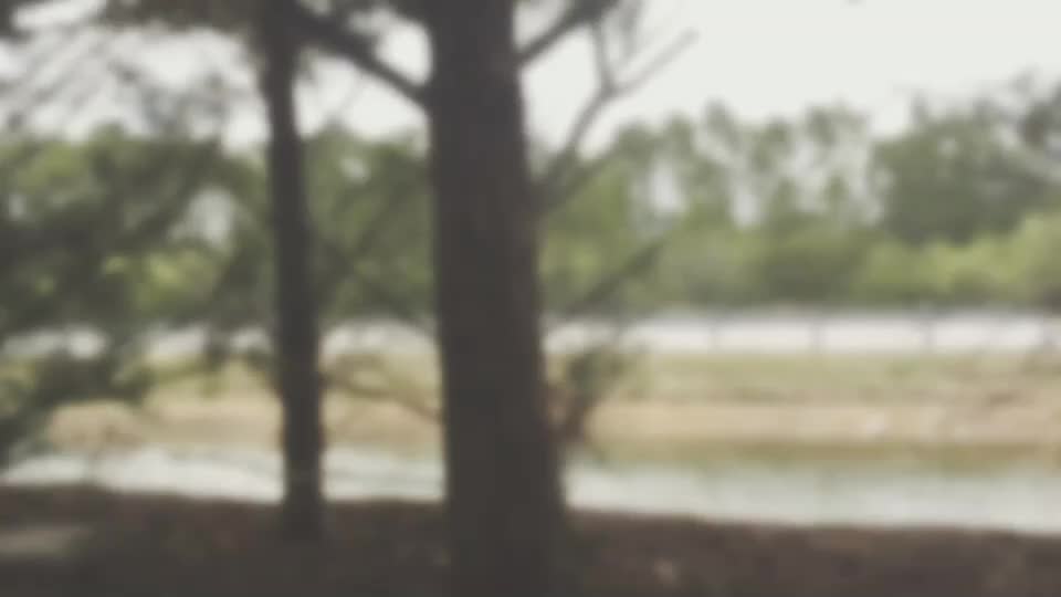 @Should I come back?