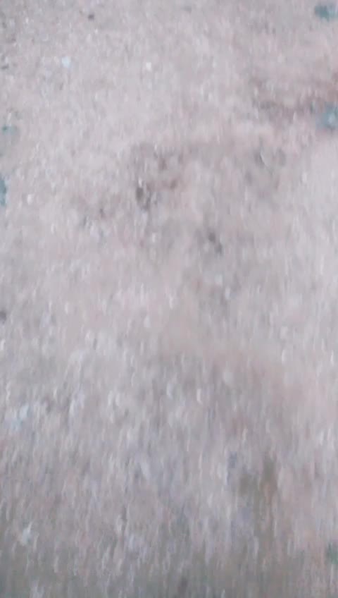 @Anand Raj