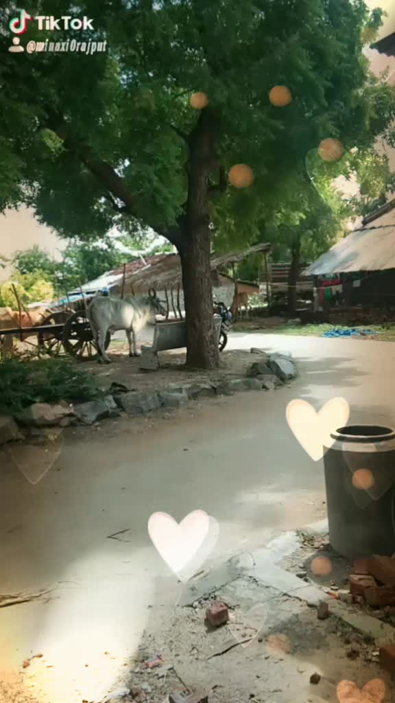 @Minaxi bariya
