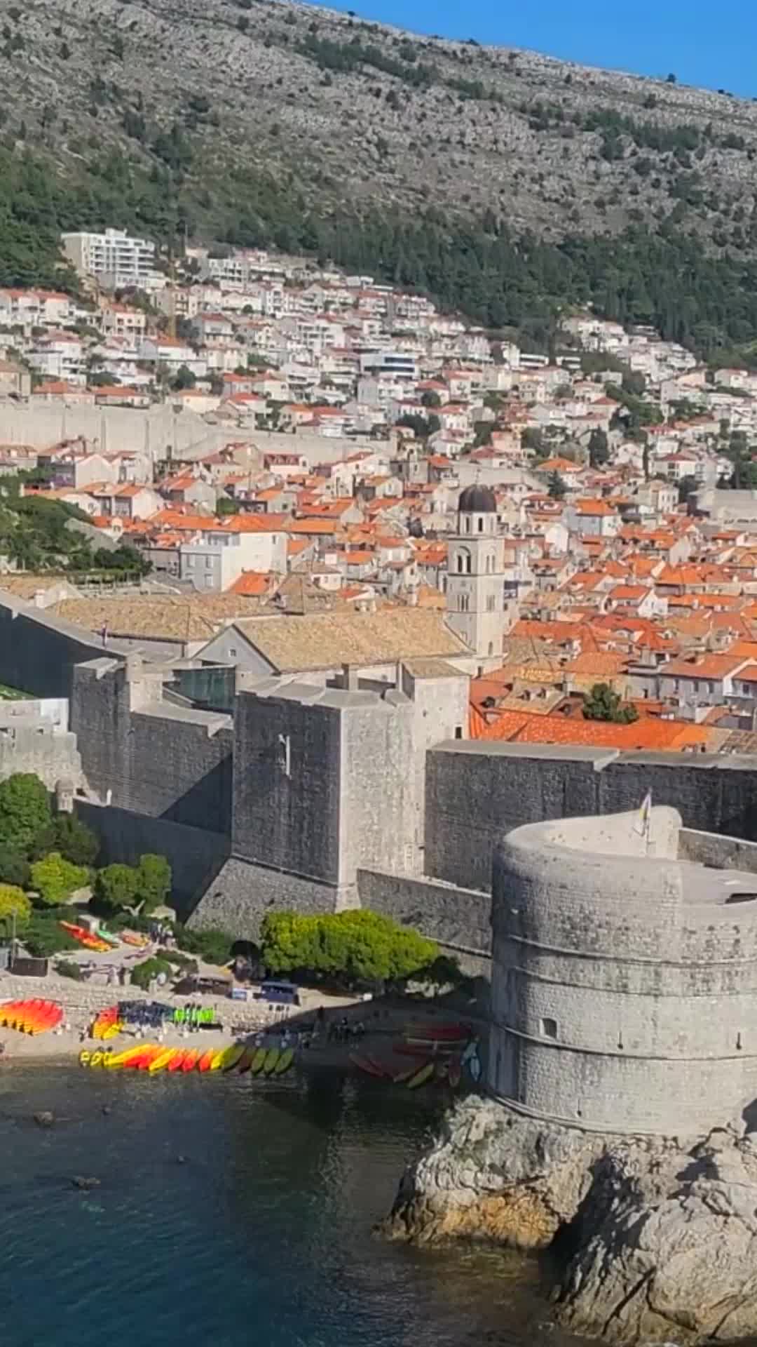 @TravelDino