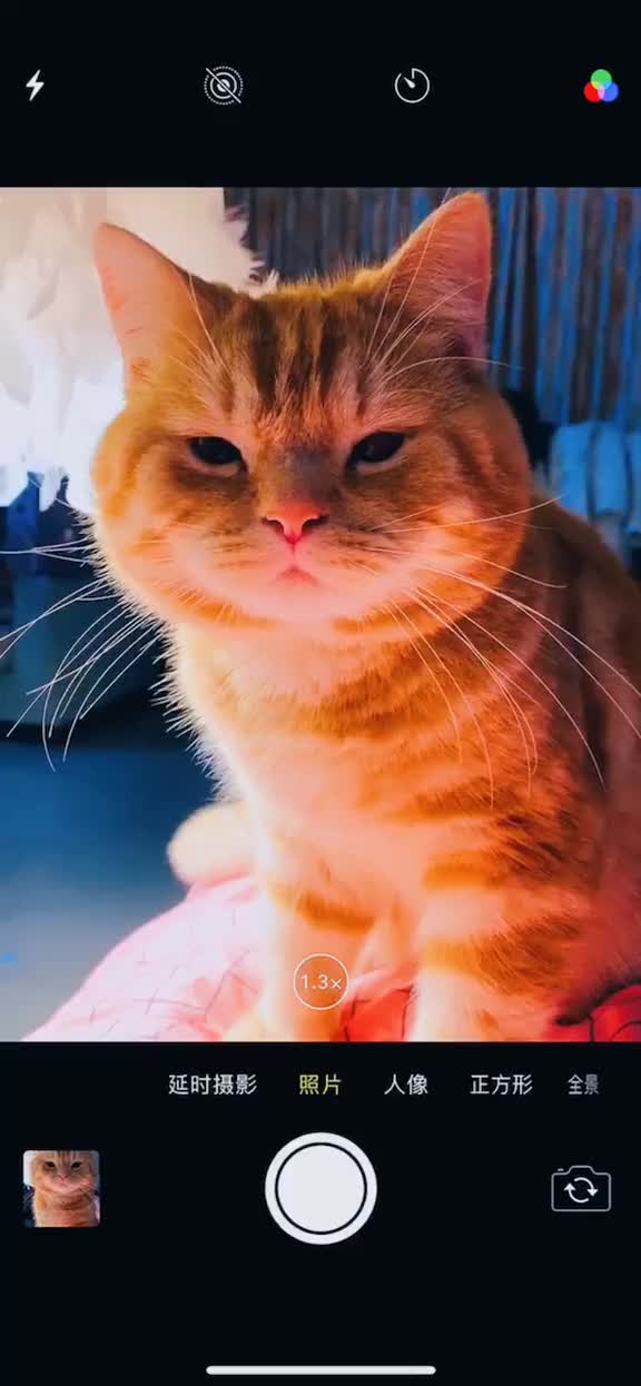 @hgz143