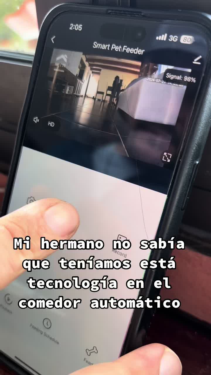 @Casa de Gatos 😻
