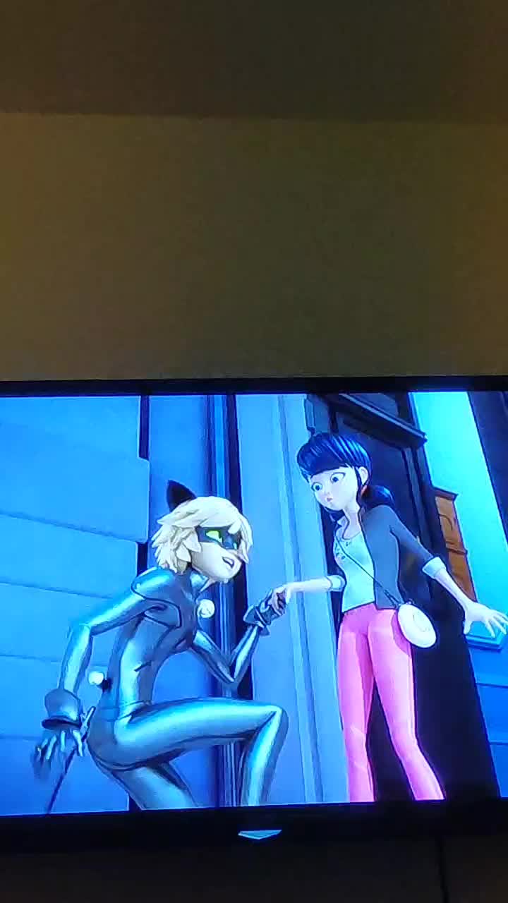 @Adrienette and Ladynoir