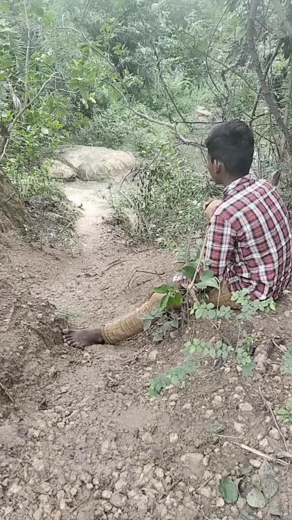 @user4199627052728