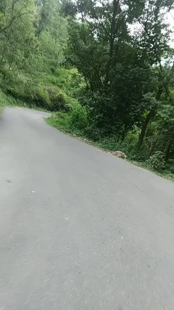 @ßharDwaj MukeSh🇨🇮?