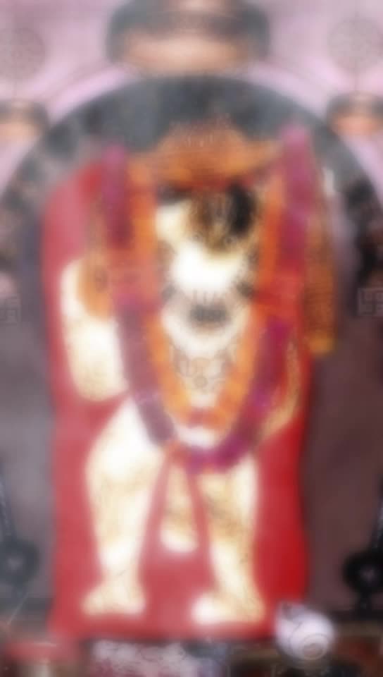 @'हरे कृष्ण.,