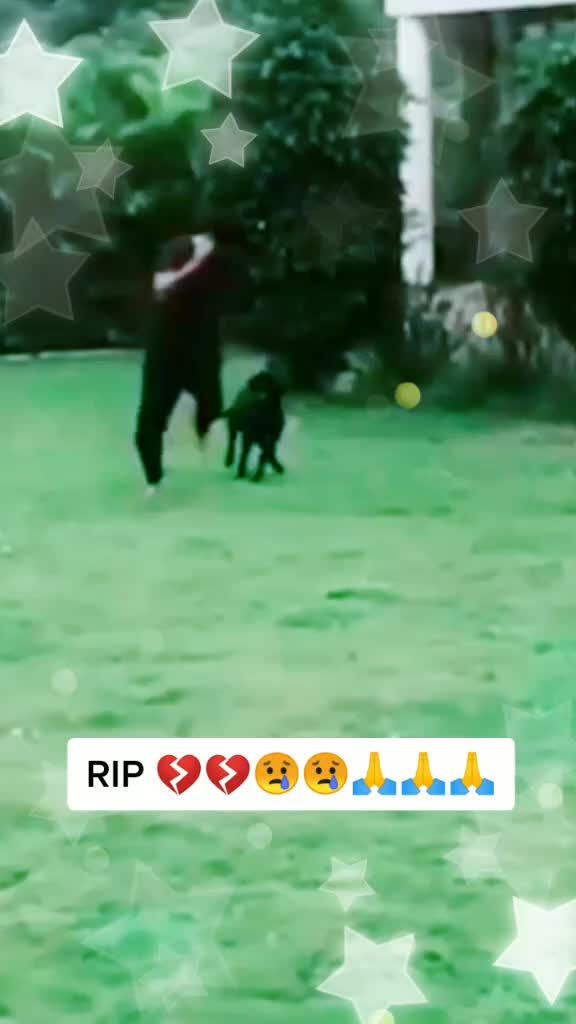 @user93787359544