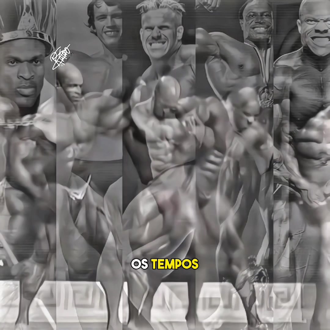 @RATÃO BODYBUILDING
