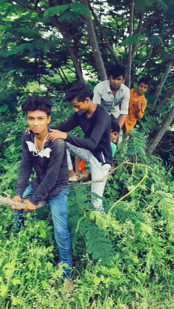 @Tanveer Tanveer