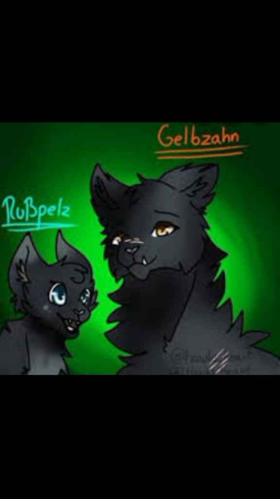 @Warrior Cats