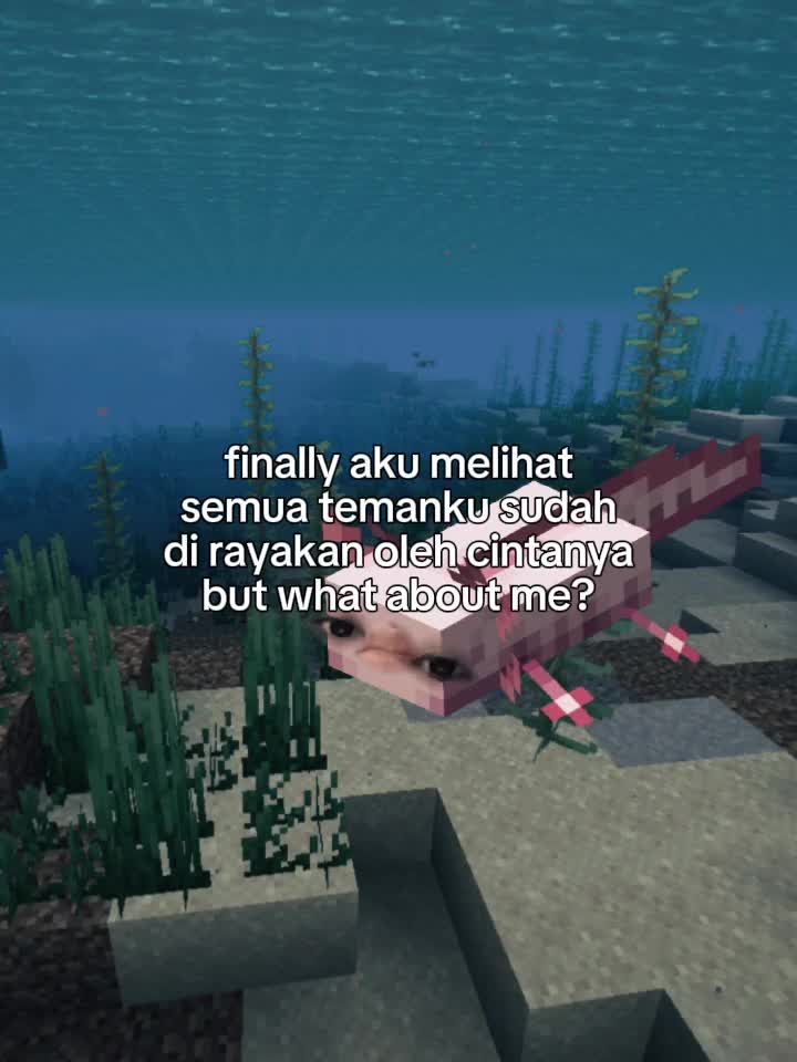 @iqaiqa