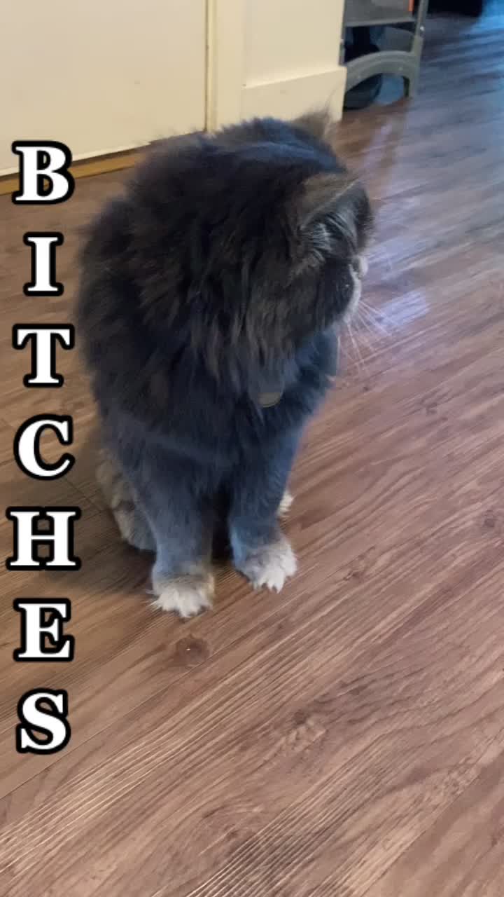 @Swayze Morgan