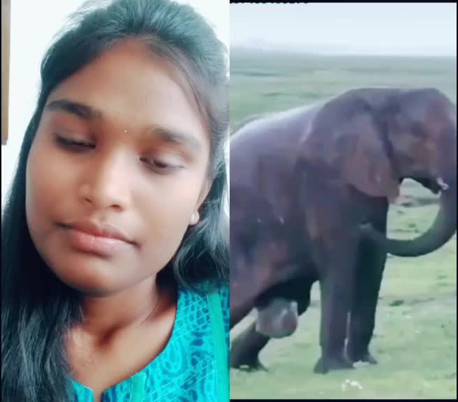 @Siri lakshmi 9666880