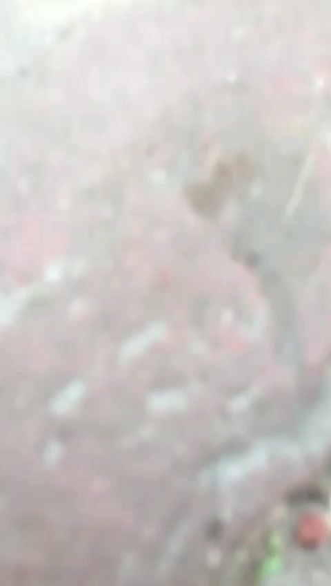 @Badnamjatt6280561535