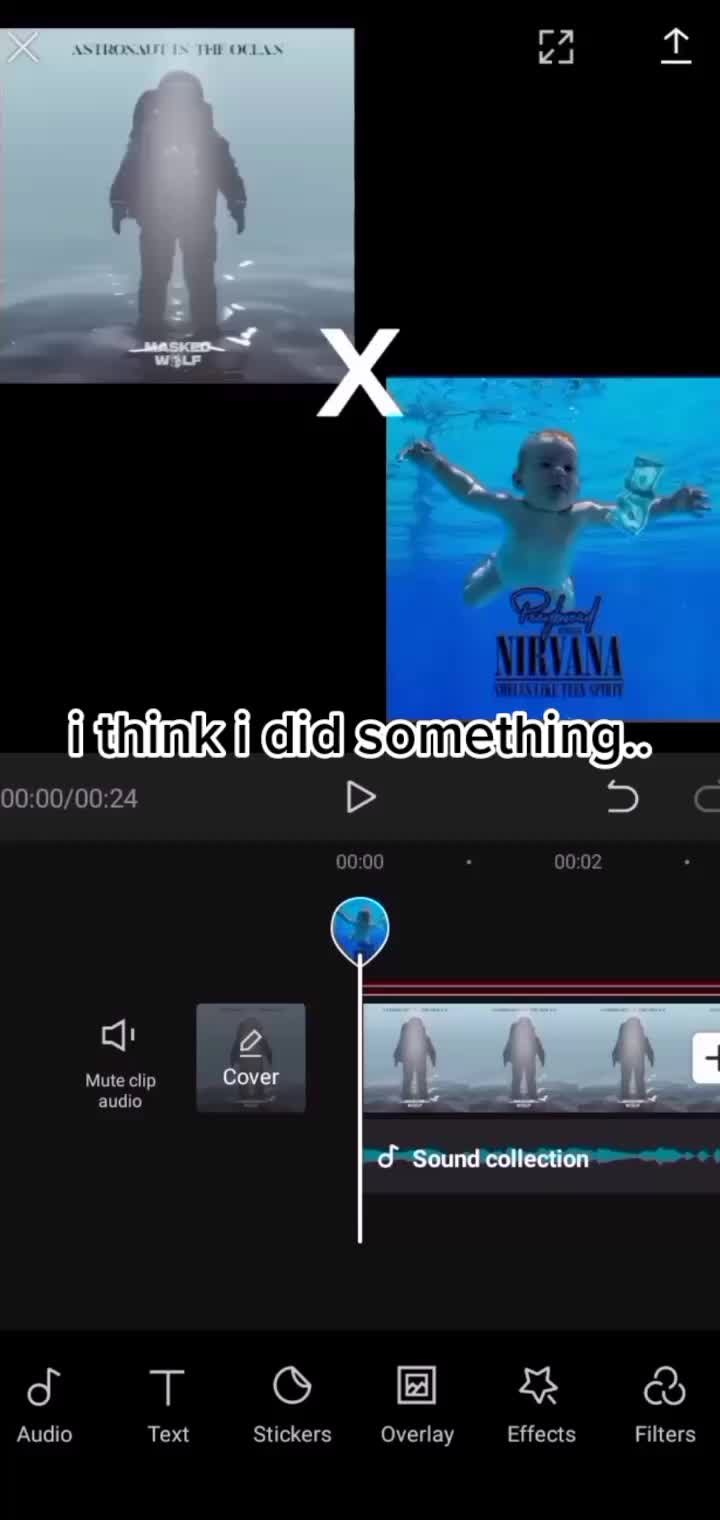 @(。◕o◕。)