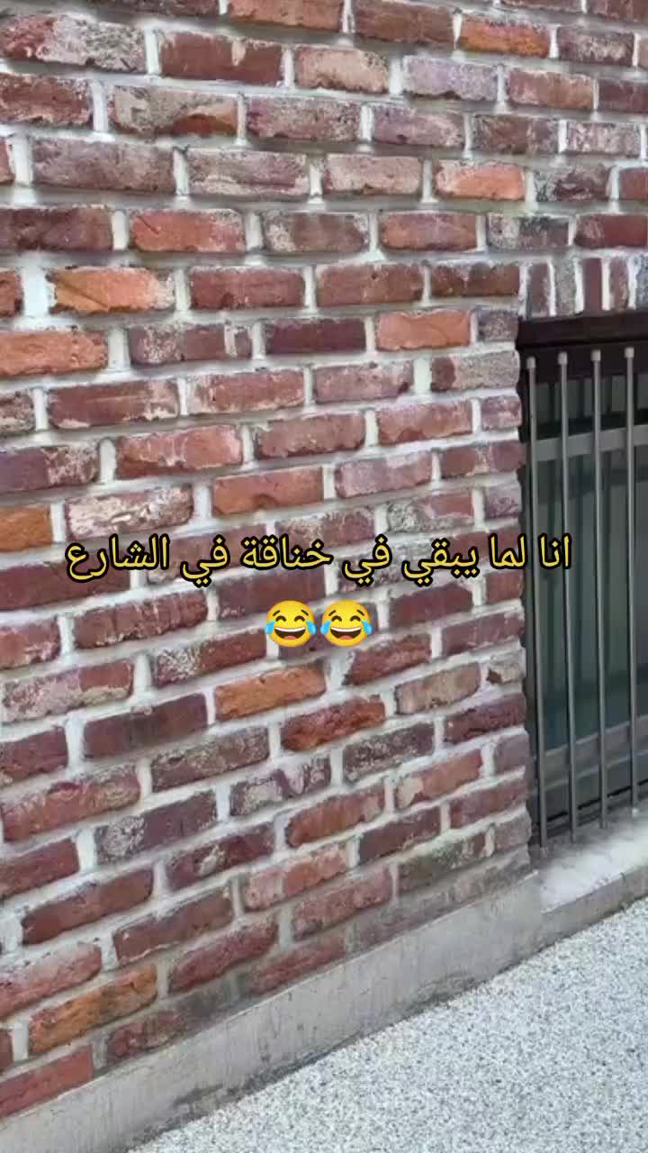 @rima_k2