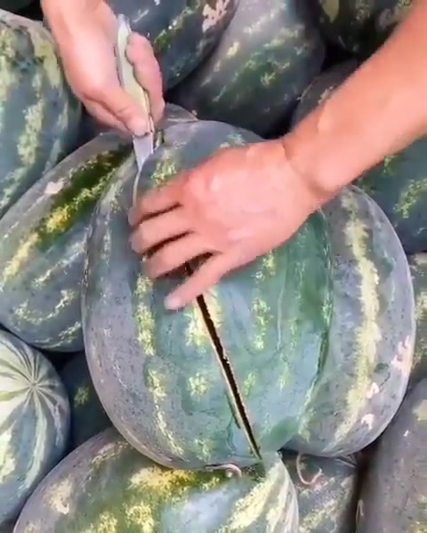 @Mahmutarslan