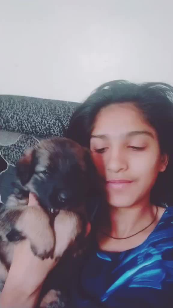 @dhwani mehta