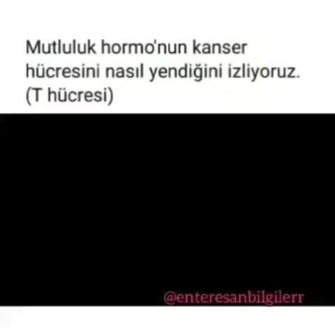 @Asi _Mavi00