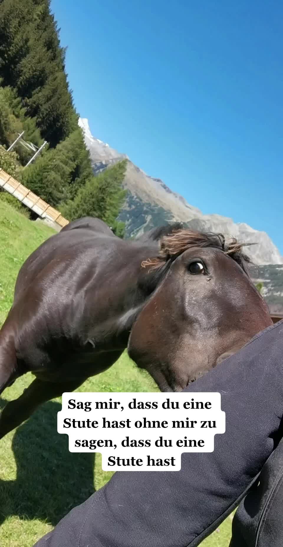 @Rabischnig