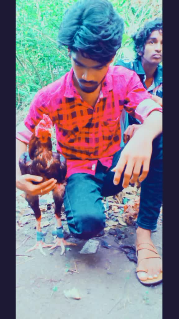 @Jairullah02