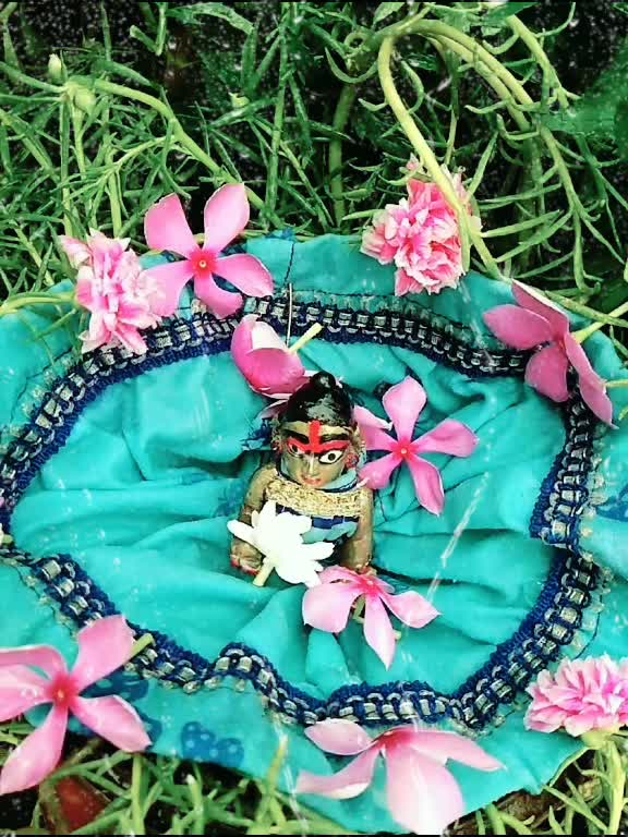@Mehak Rajput