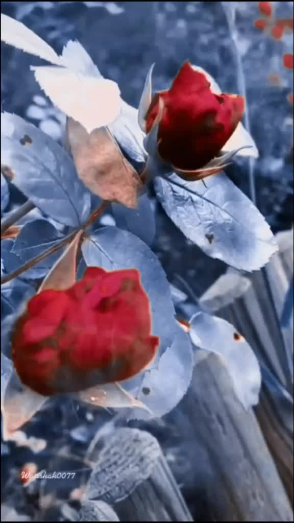 @Deepak Joshi