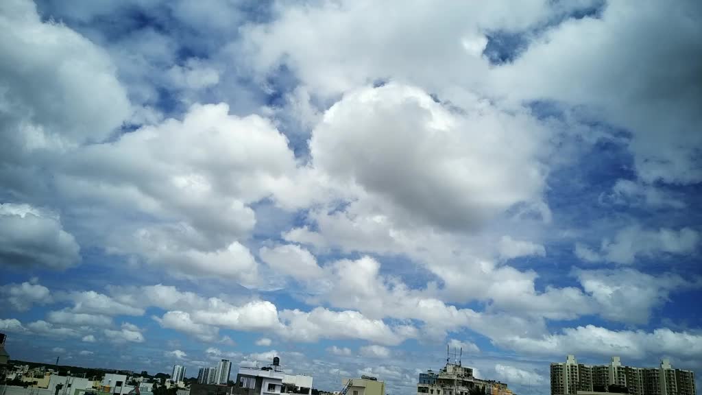 @saritha poojari