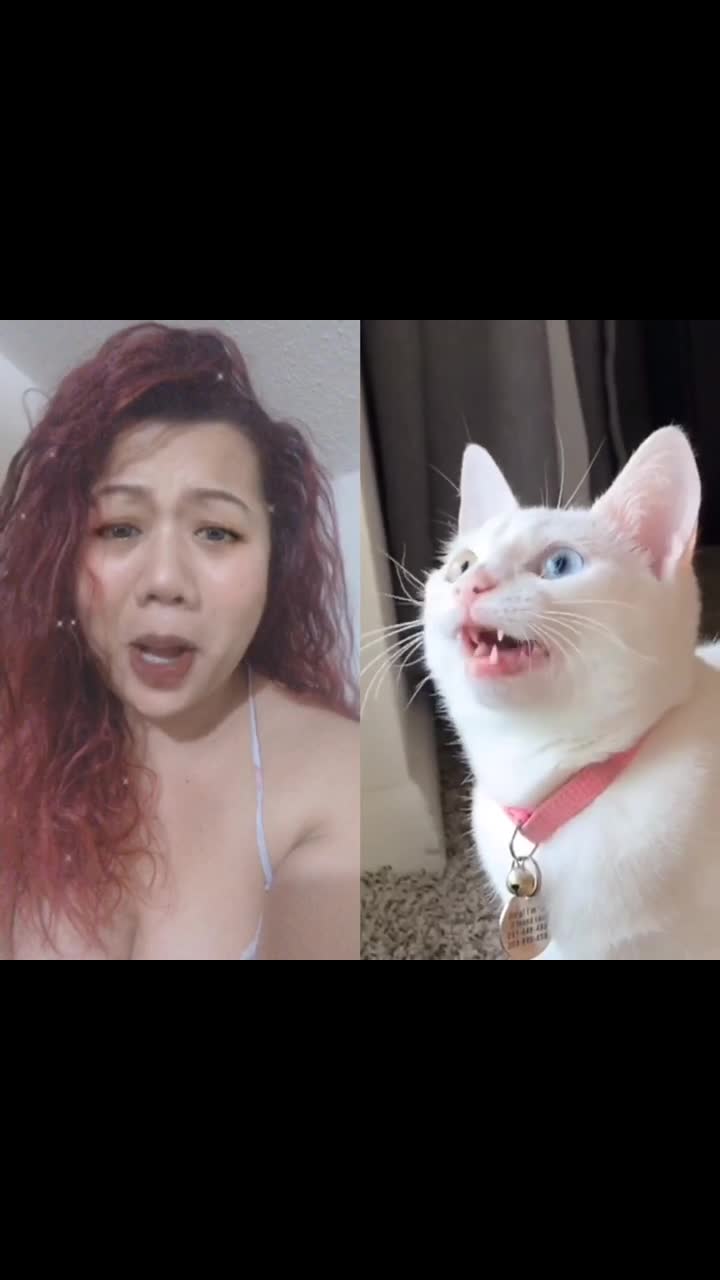 @ukgal13