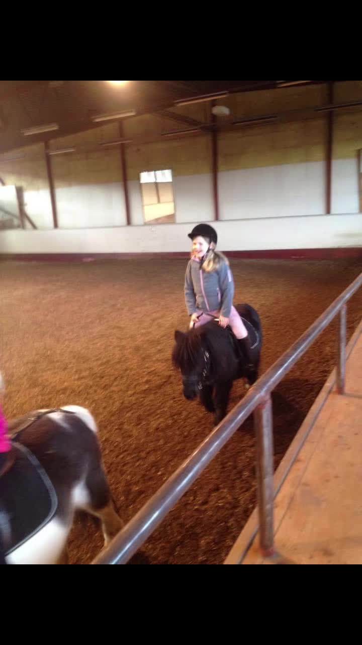 @🐎Ridning🐎 {3,8K}