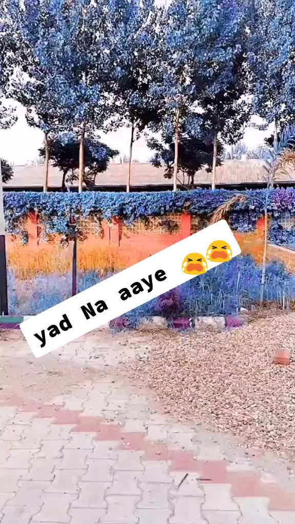 @Sadab Malik