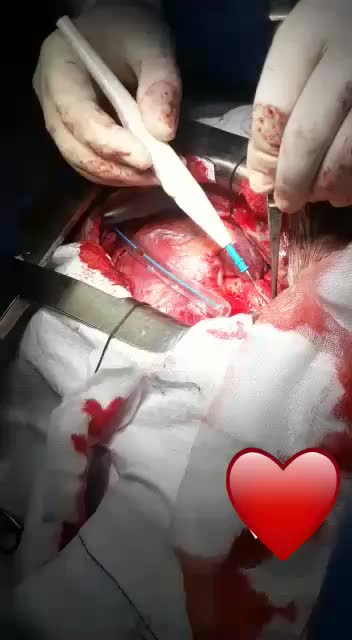 @user4085937190242