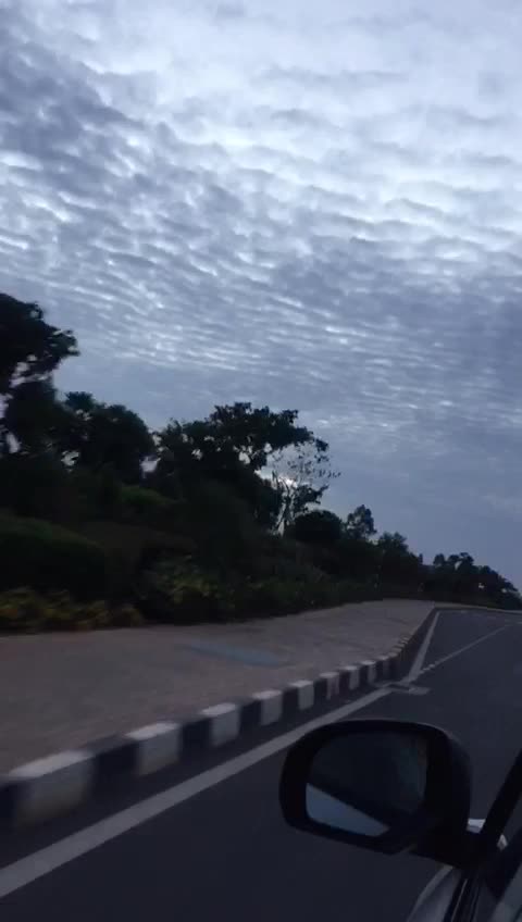 @chasame.k.sangma