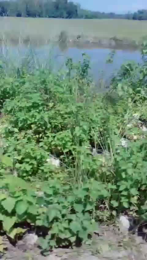 @dhirashreekalita2018