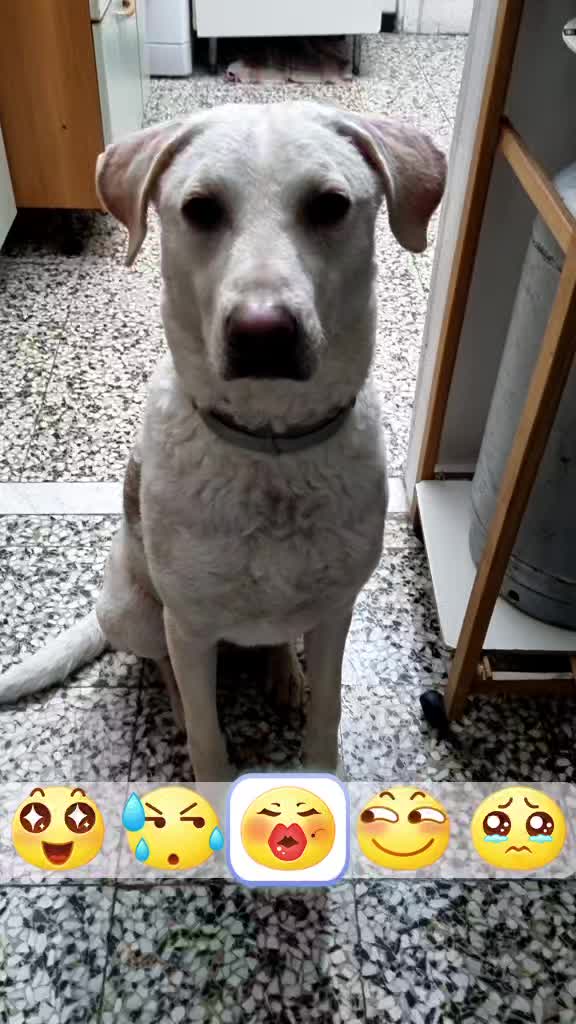 @kika.mazzarrisi