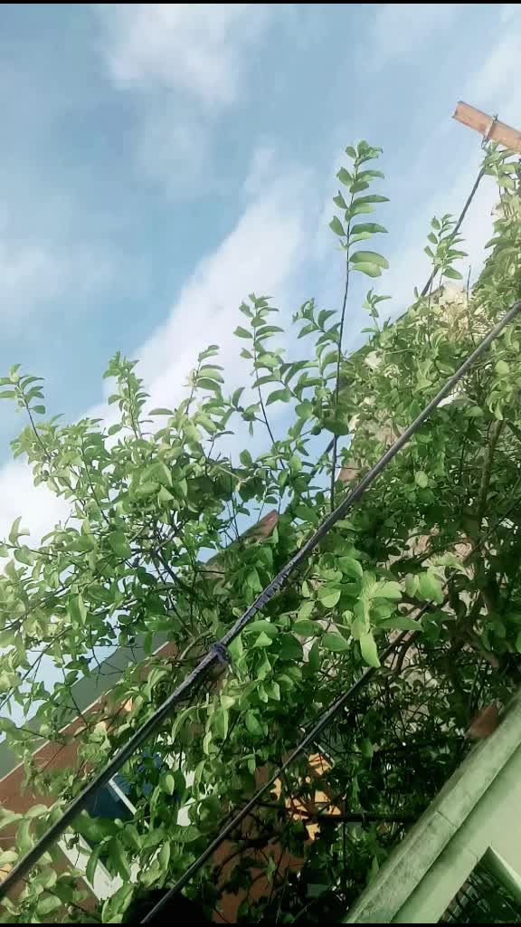 @userShaRu59