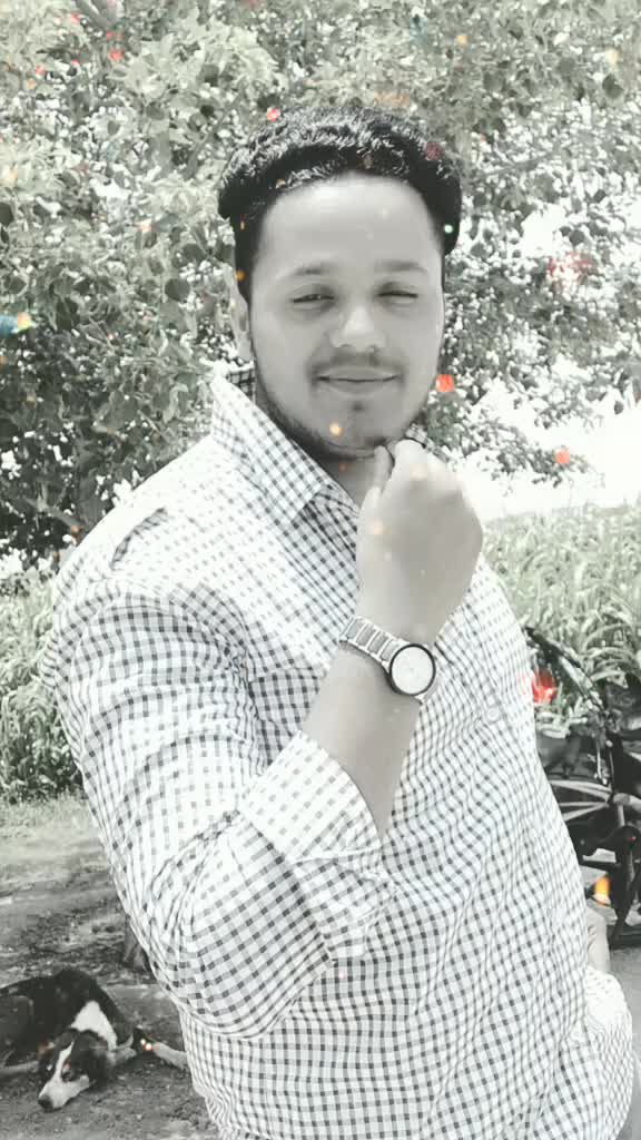 @user31202833071