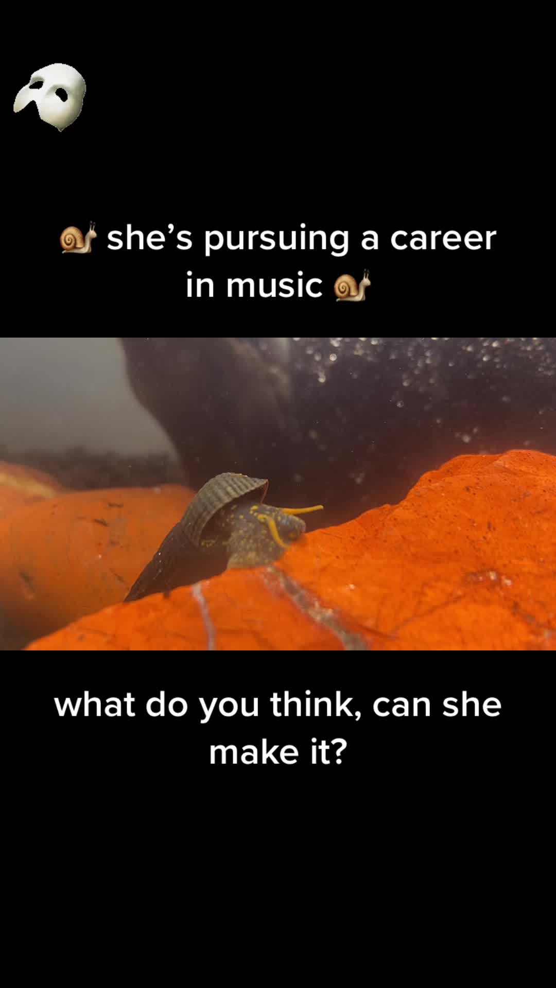 @Sam_i_Am